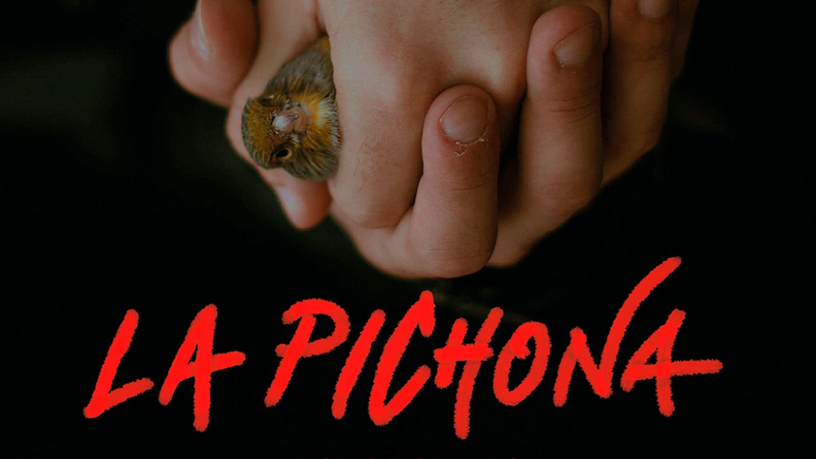 Corto, La pichona, 25 noviembre