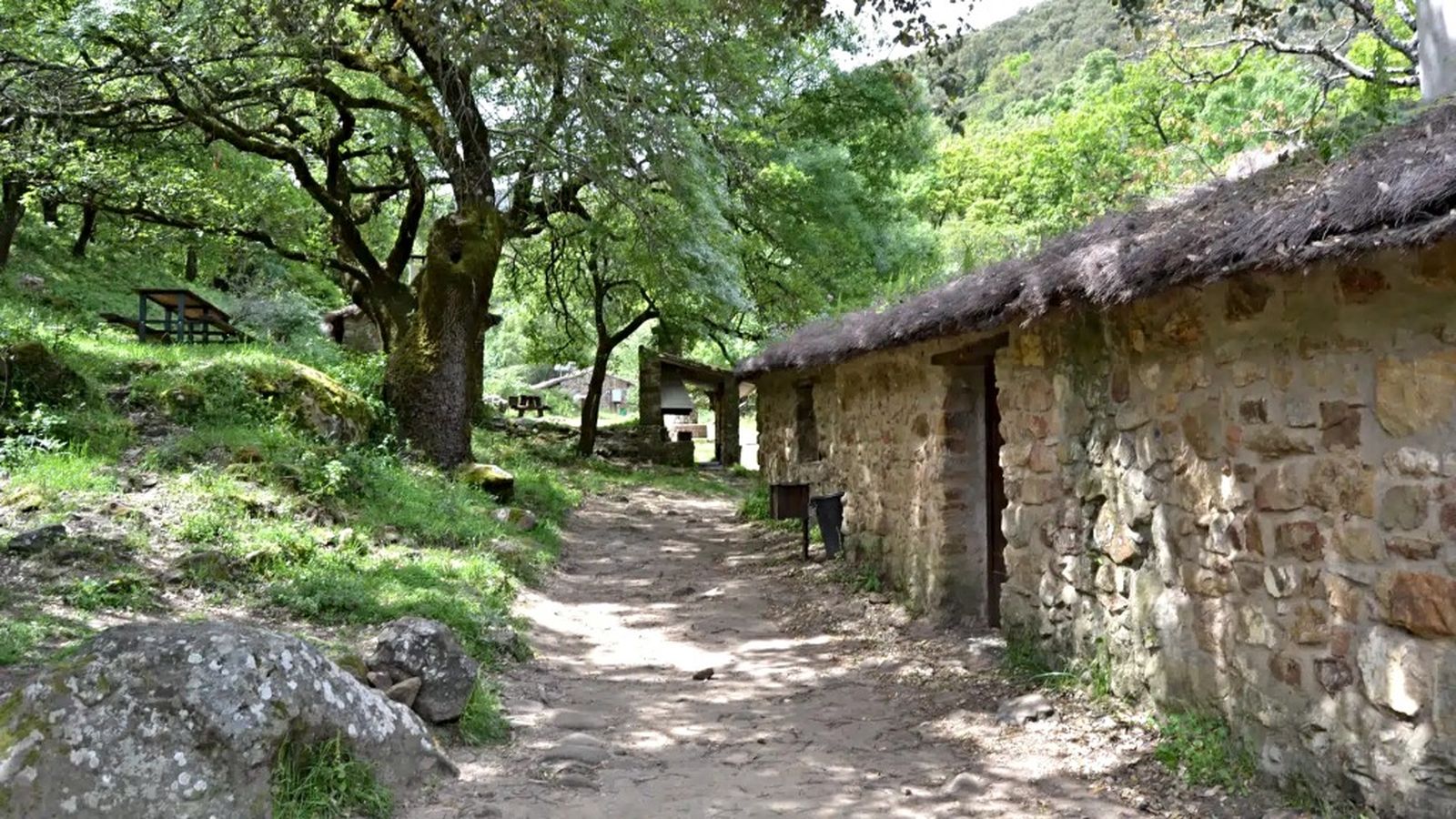 alcornocales cortes frontera