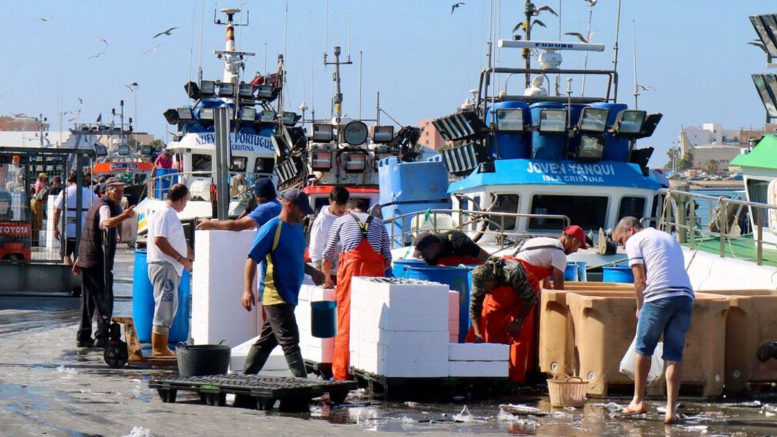 Comunicación Tierra y Mar Foto