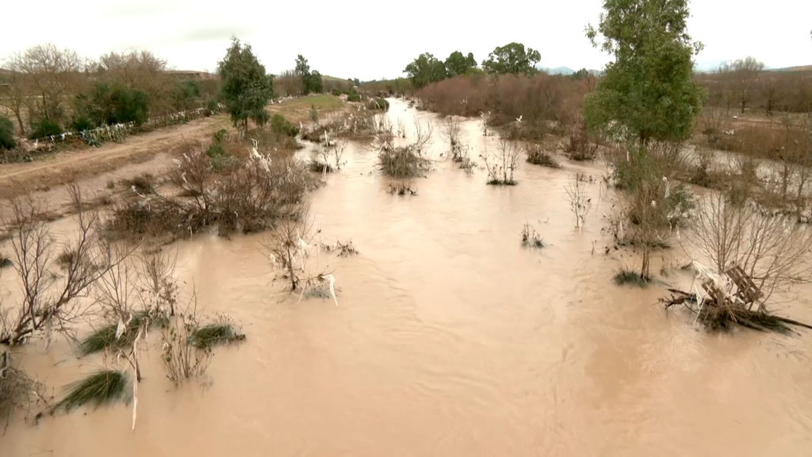 El desbordamiento del Guadalete arruina a los pioneros de la agricultura ecológica en Cádiz