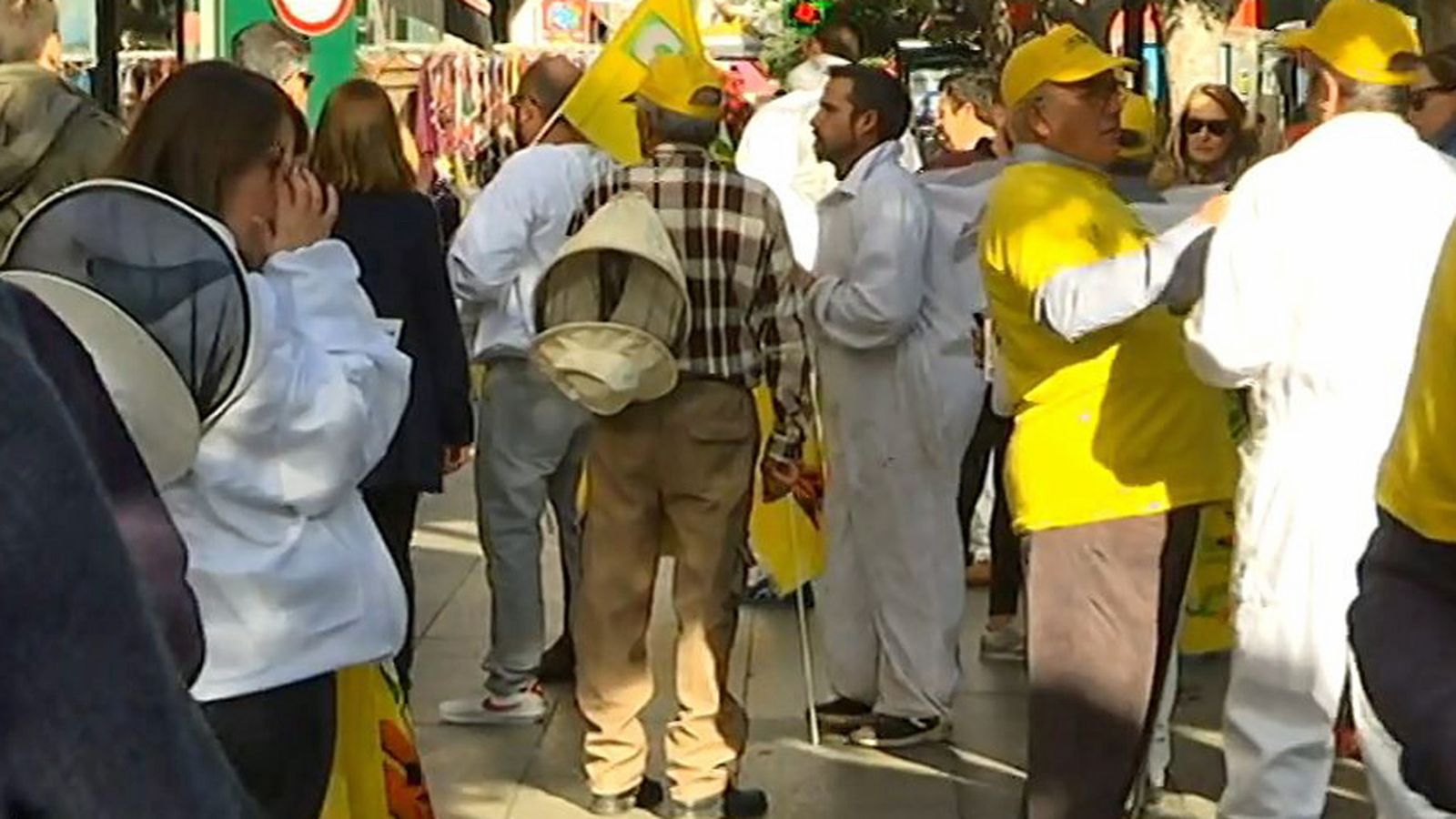 tapa protestas apicultores