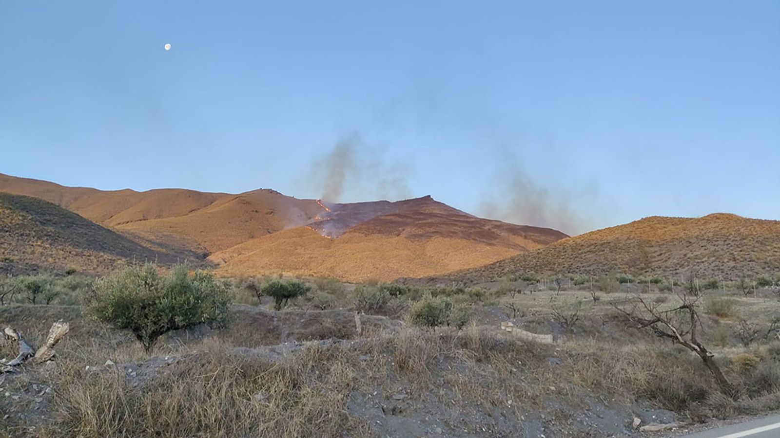 incendio olula