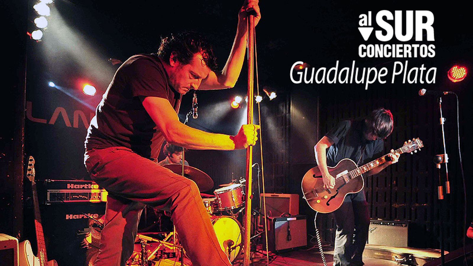 Guadalupe plata Al sur conciertos 800x450