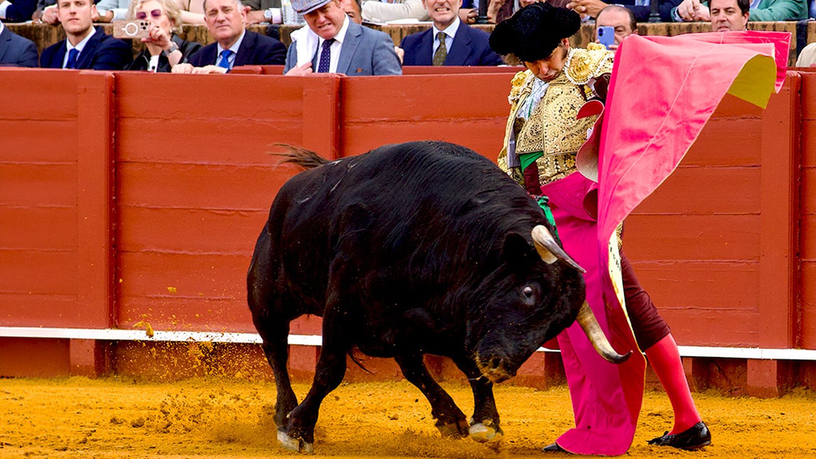 Toros desde La Feria del Caballo de Jerez (Promo)