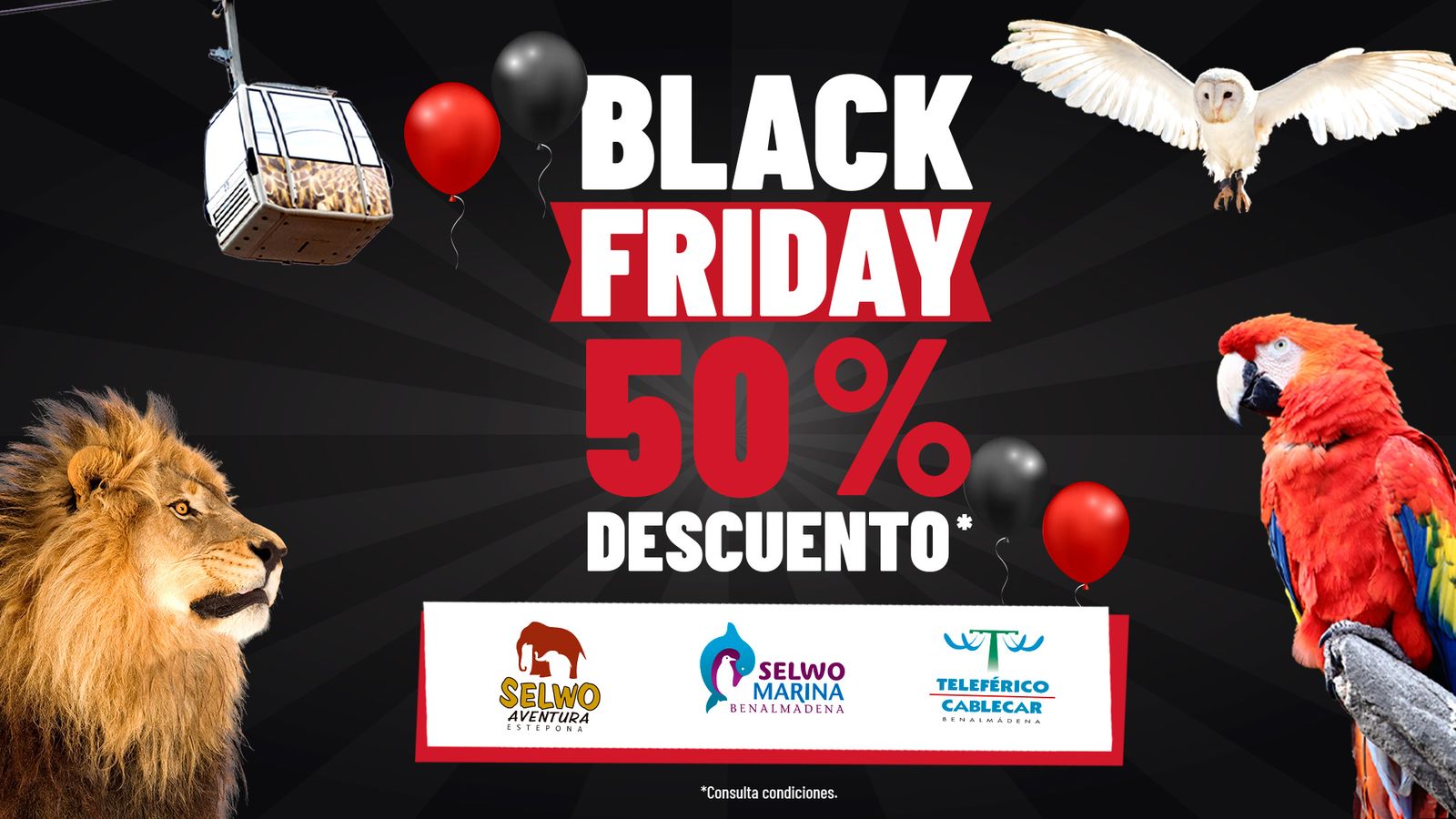 black friday selwo