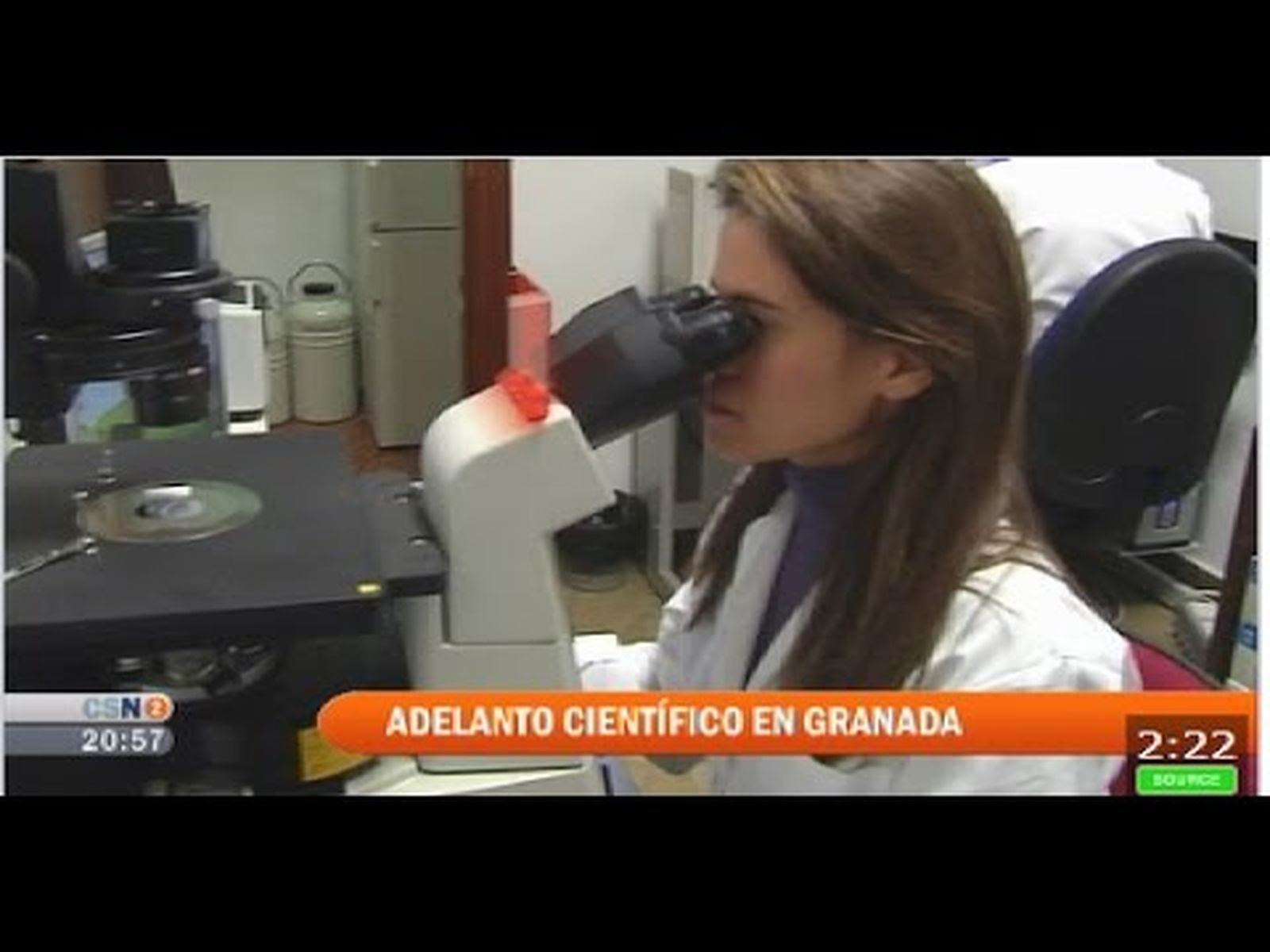 Científicos de Granada fabrican el primer órgano bioartificial de España