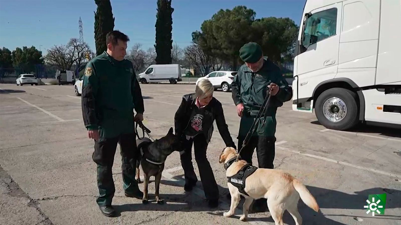 Nala y Nalma, dos perritas de la Unidad Cinológica dedicadas a encontrar droga oculta