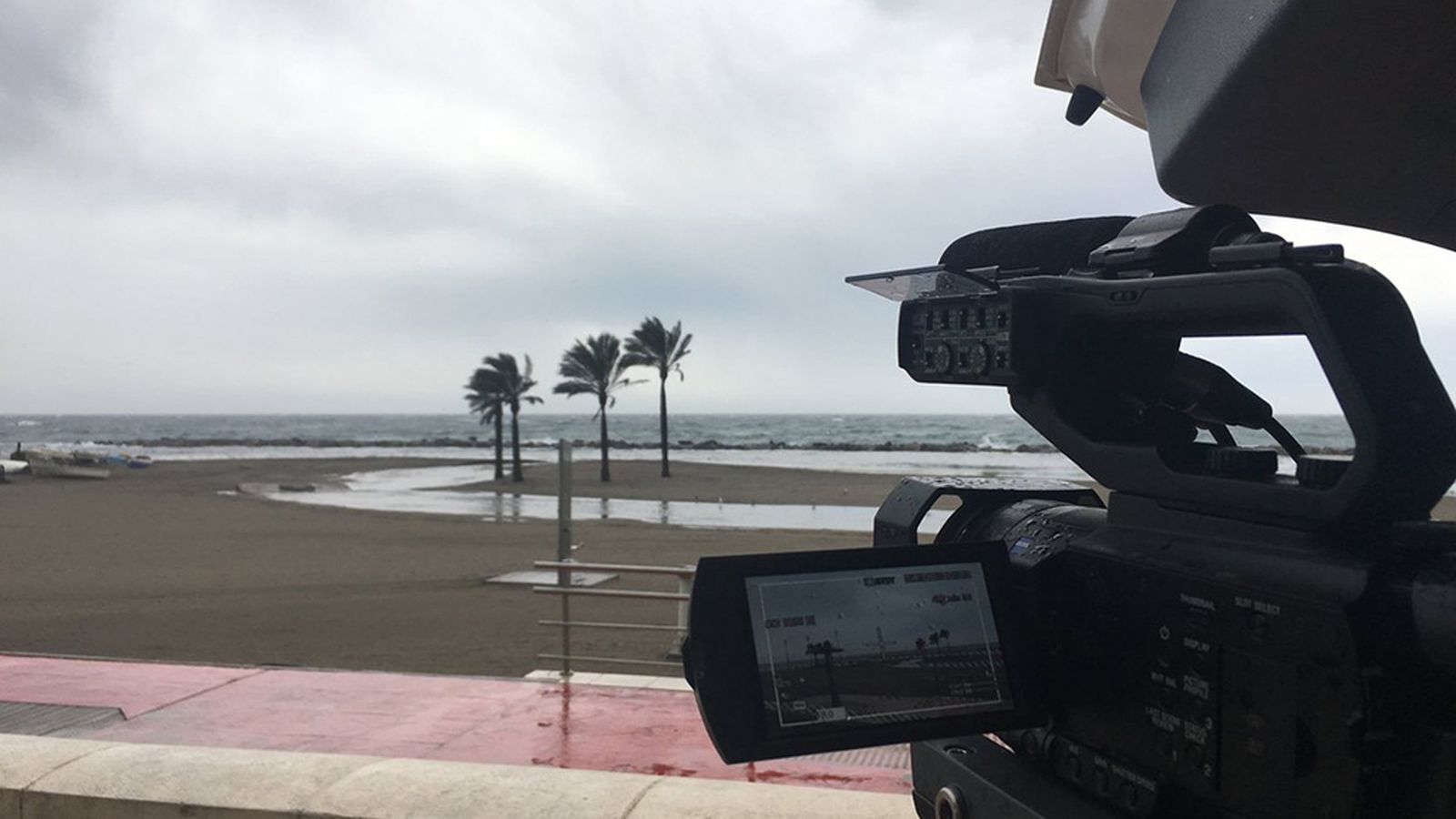 VIENTO 1024