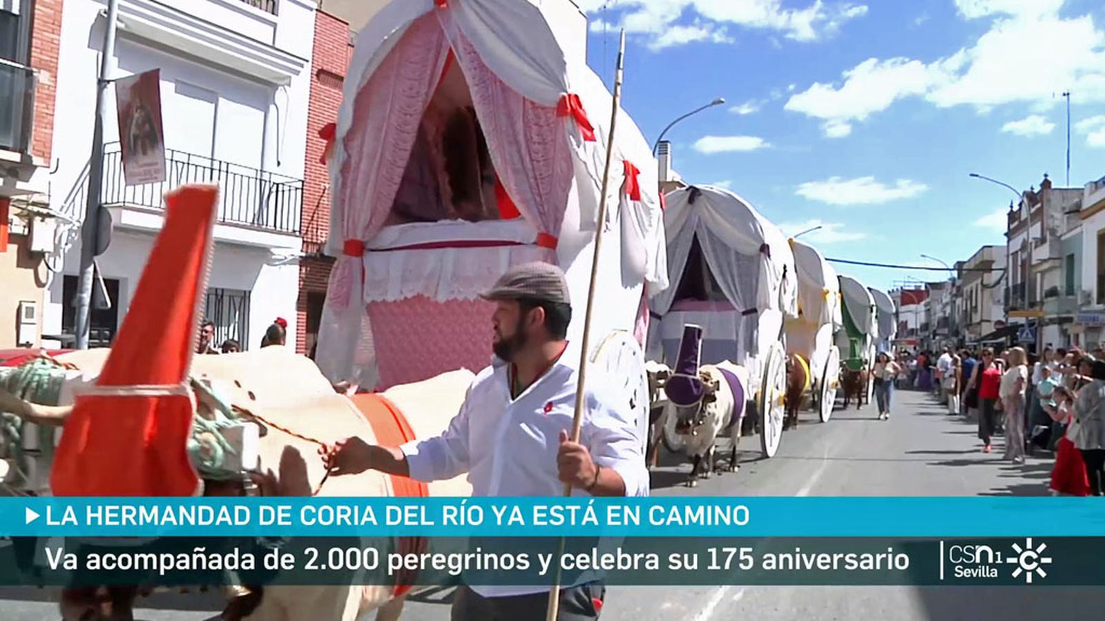 Coria del Río, 175 años haciendo el camino del Rocío
