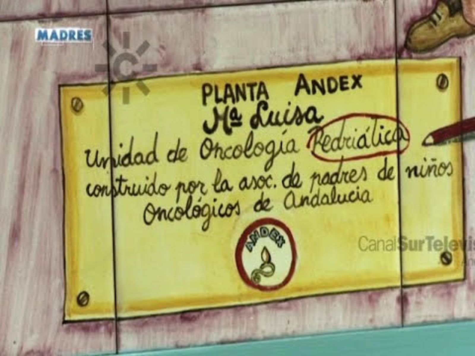 Mª Luisa Guardiola, presidenta de  ANDEX, medalla de Andalucía