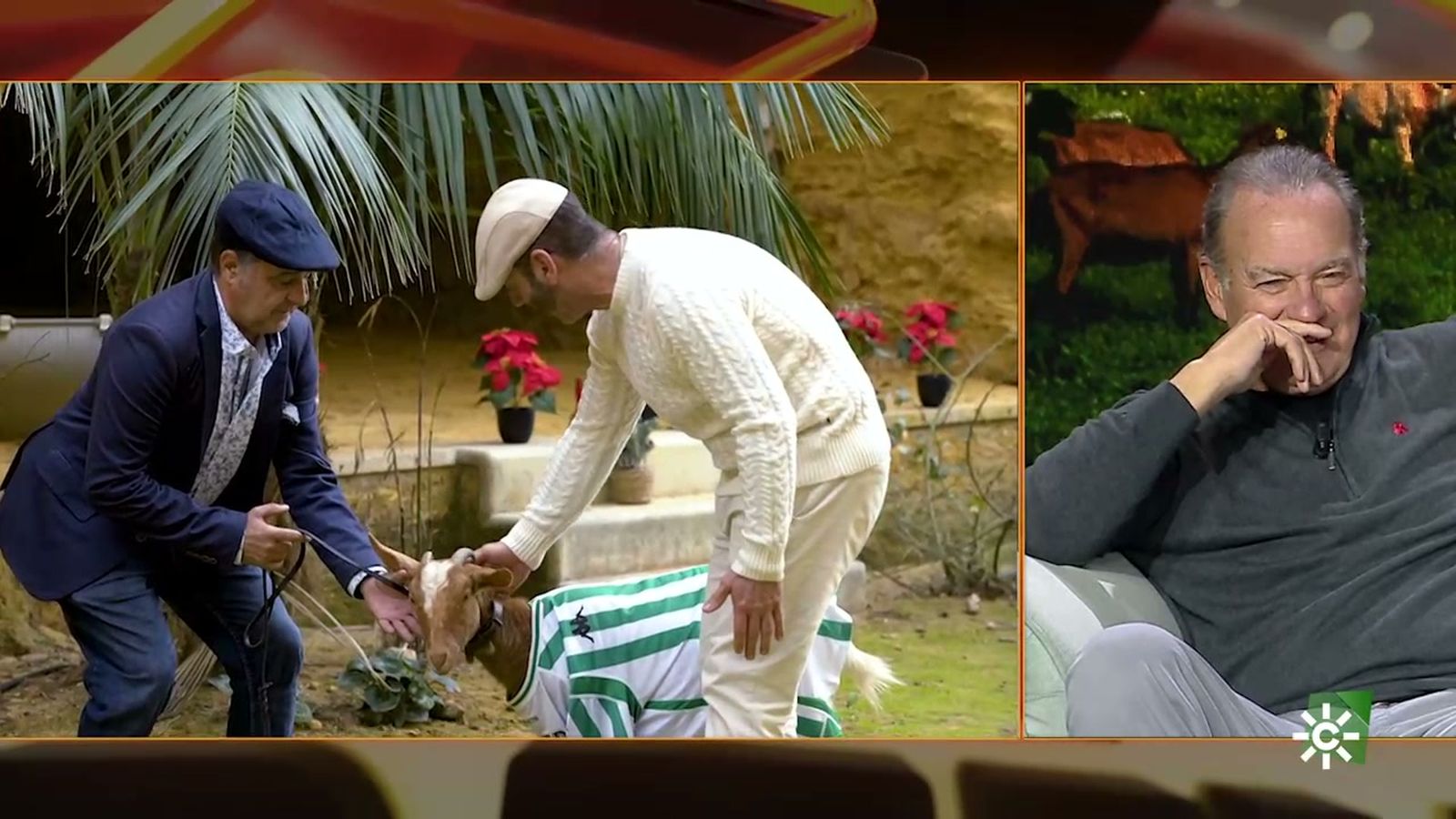 Paco Candela le canta a una cabra para animarla