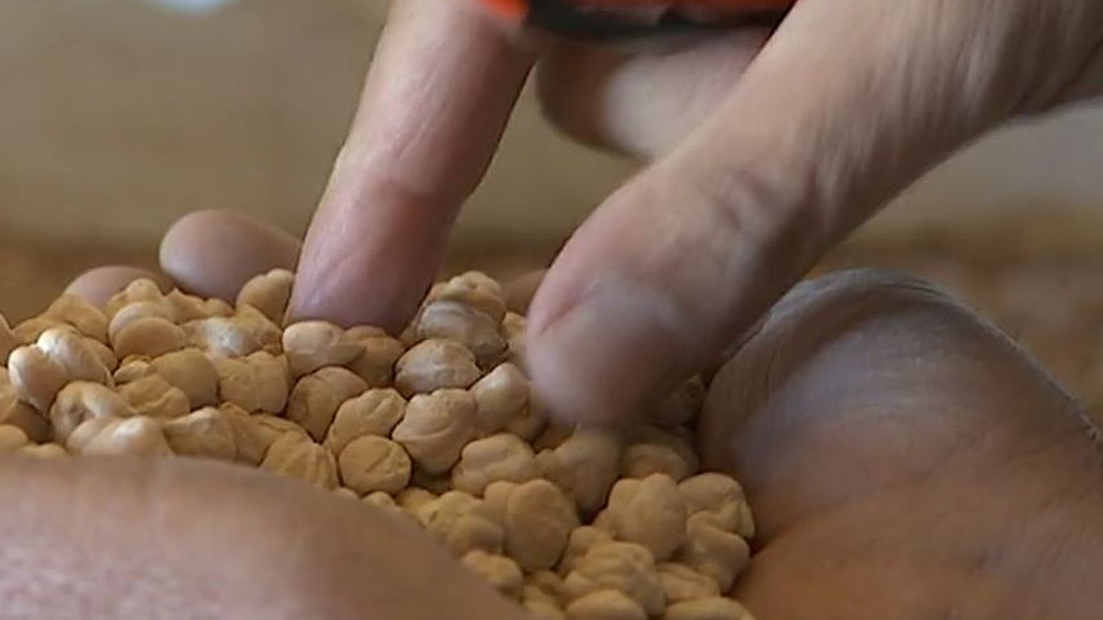 garbanzos