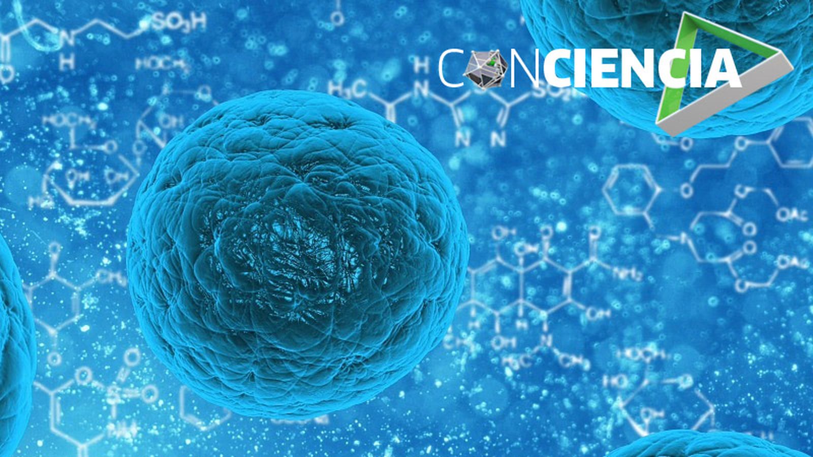 800x450 Conciencia (células madre)