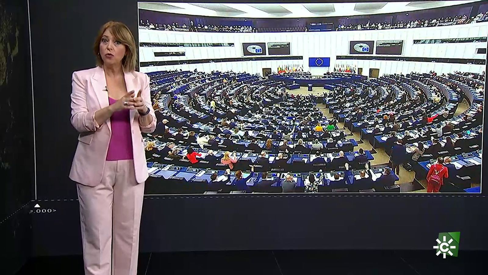 Reporteros sobre las elecciones europeas