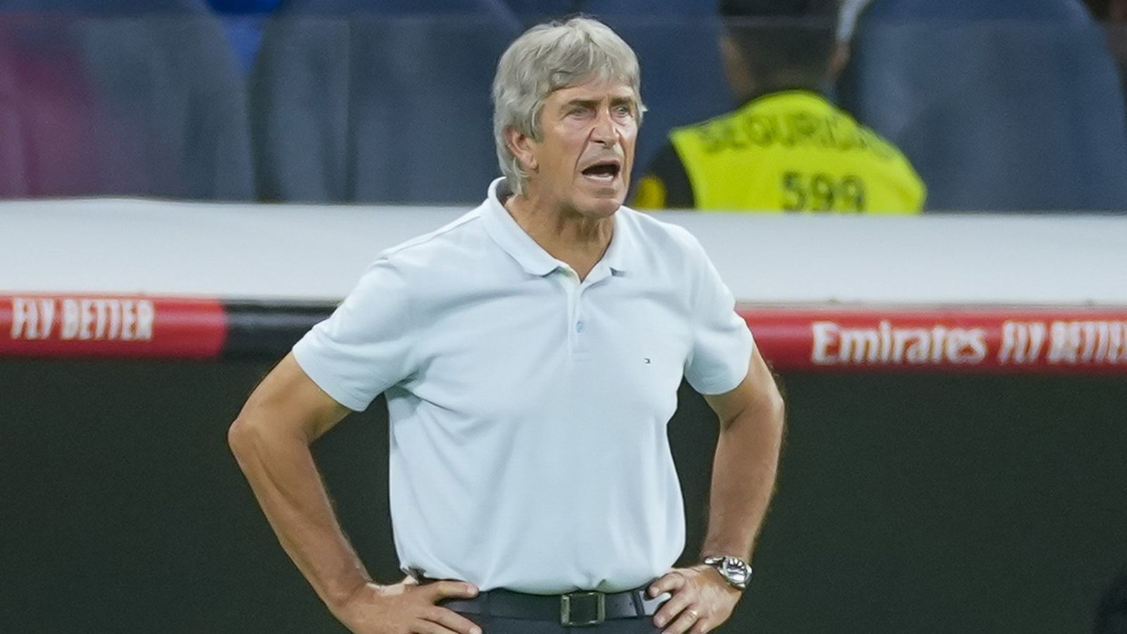 Manuel Pellegrini