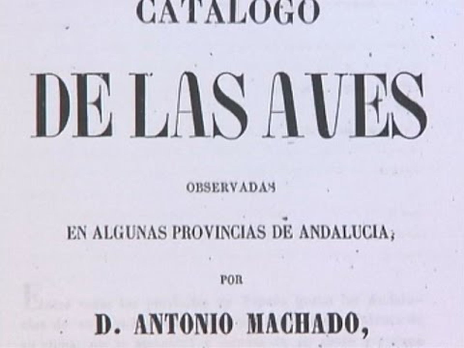 Antonio Machado y Núñez, naturalista seguidor de Darwin