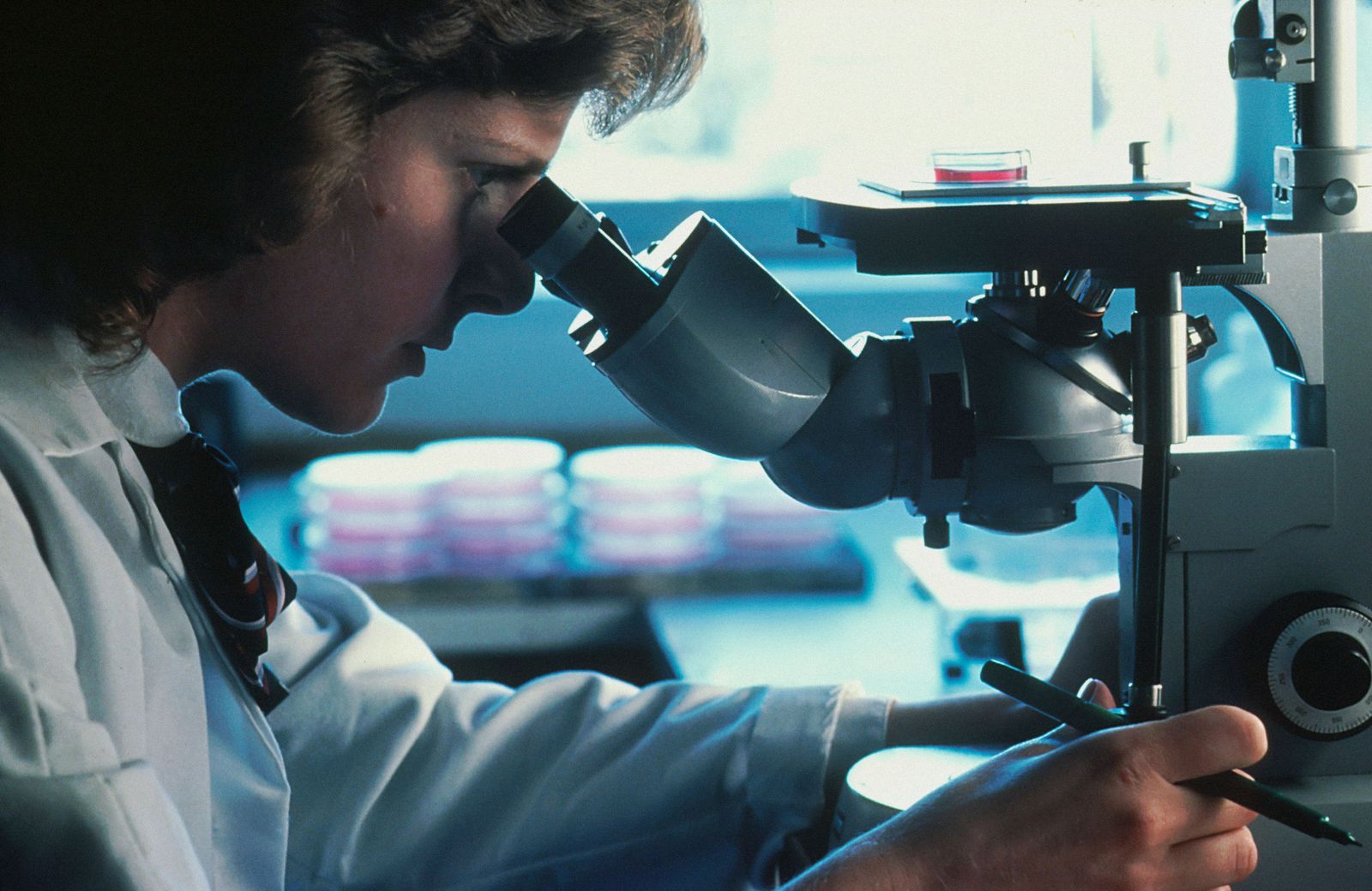 Investigación, "Tesis"
