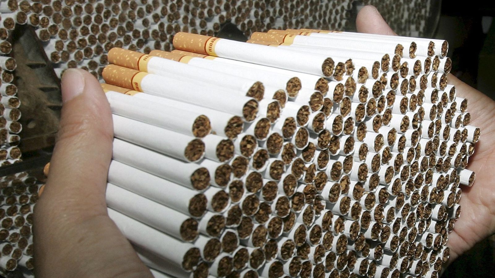 tabaco 1024