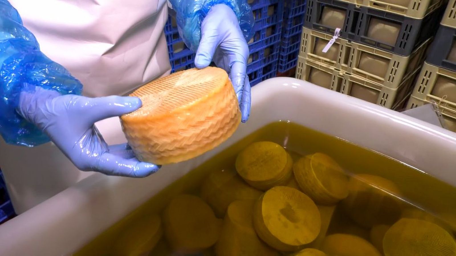 Un queso andaluz en el podio de los mejores del mundo