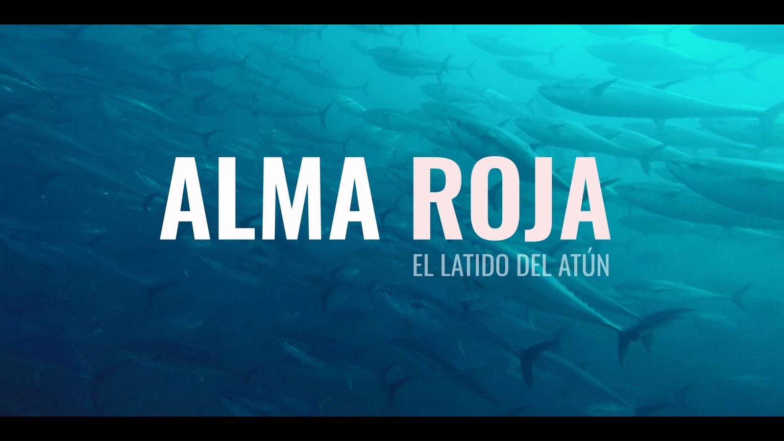 Alma roja, el latido del atún