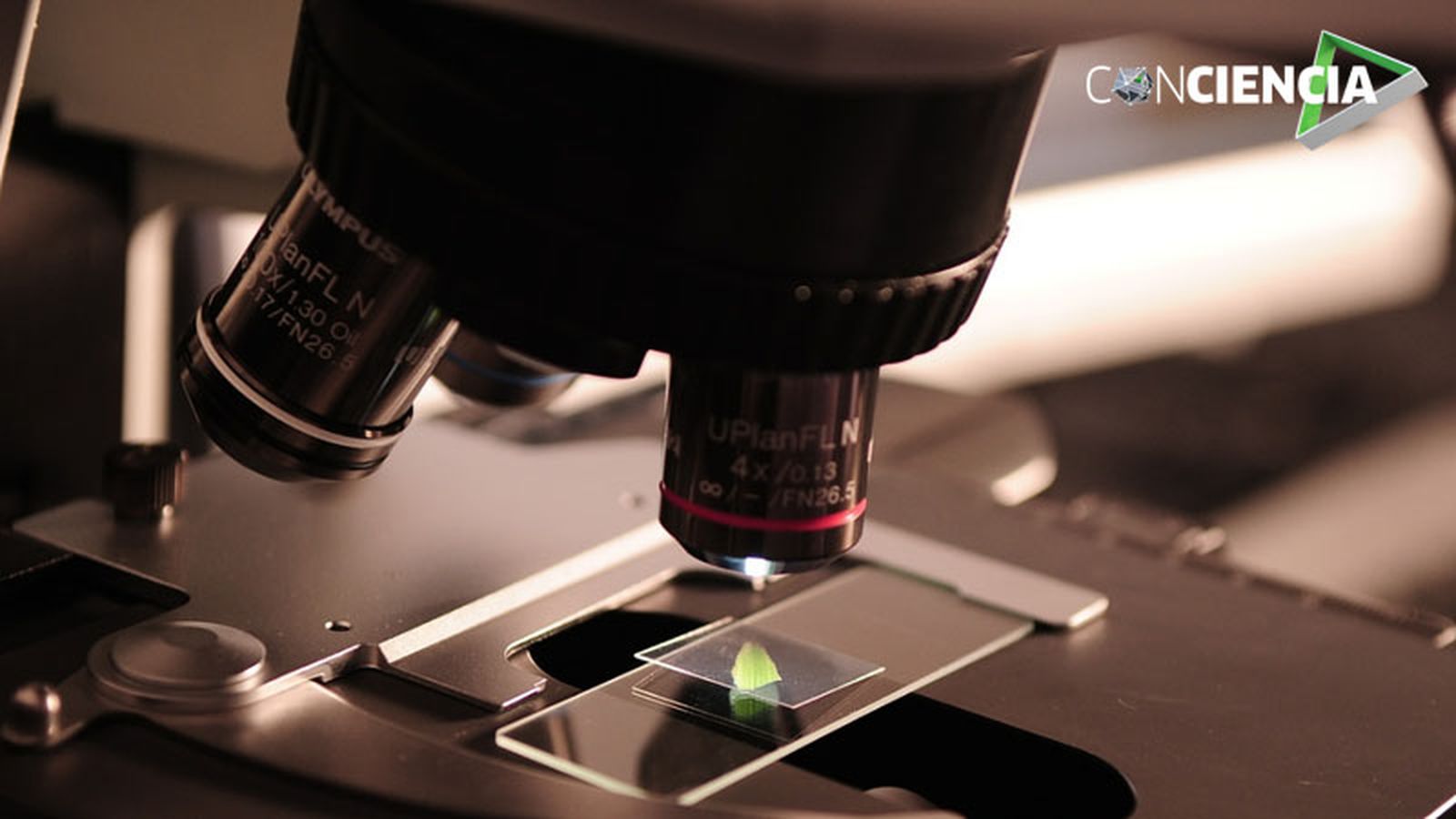 800x450 Conciencia (microscopio)