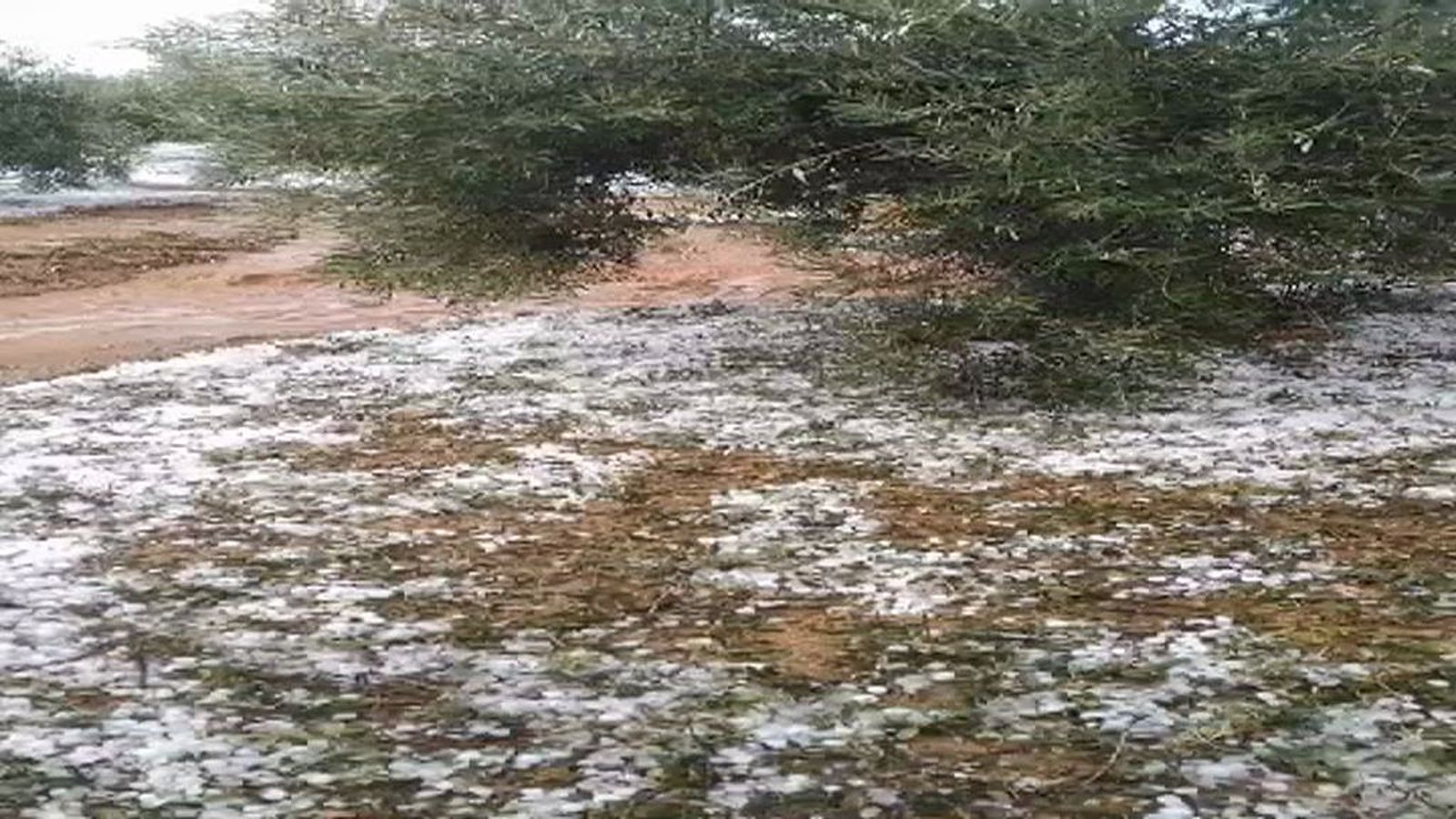 Captura granizo Alcaudete