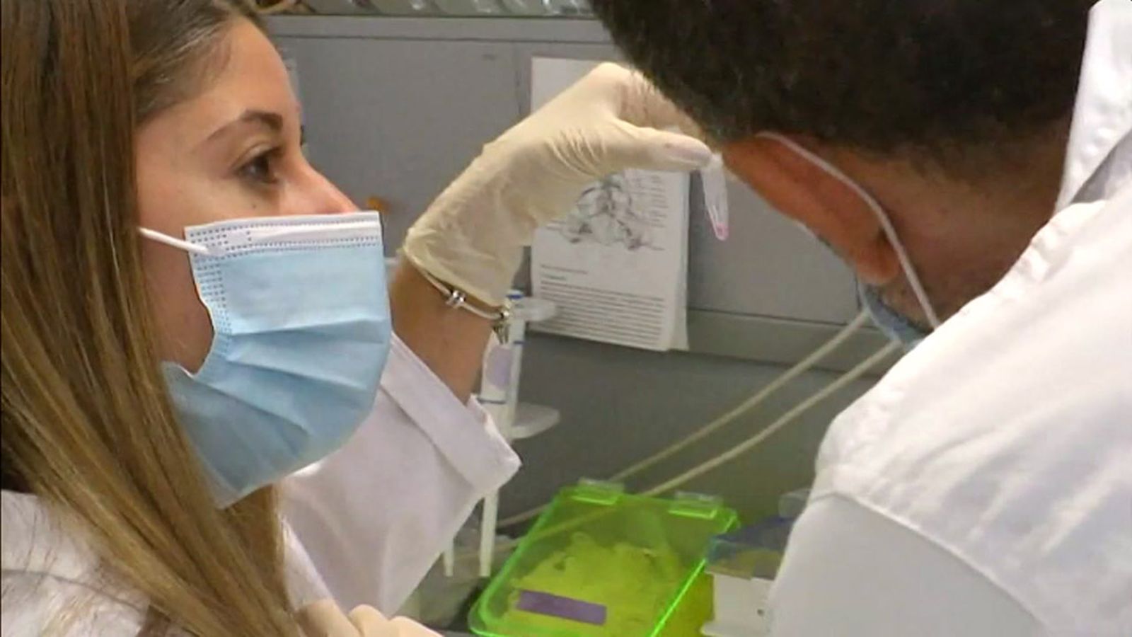 Los tratamientos de ingeniería genética contra el cáncer son esperanzadores