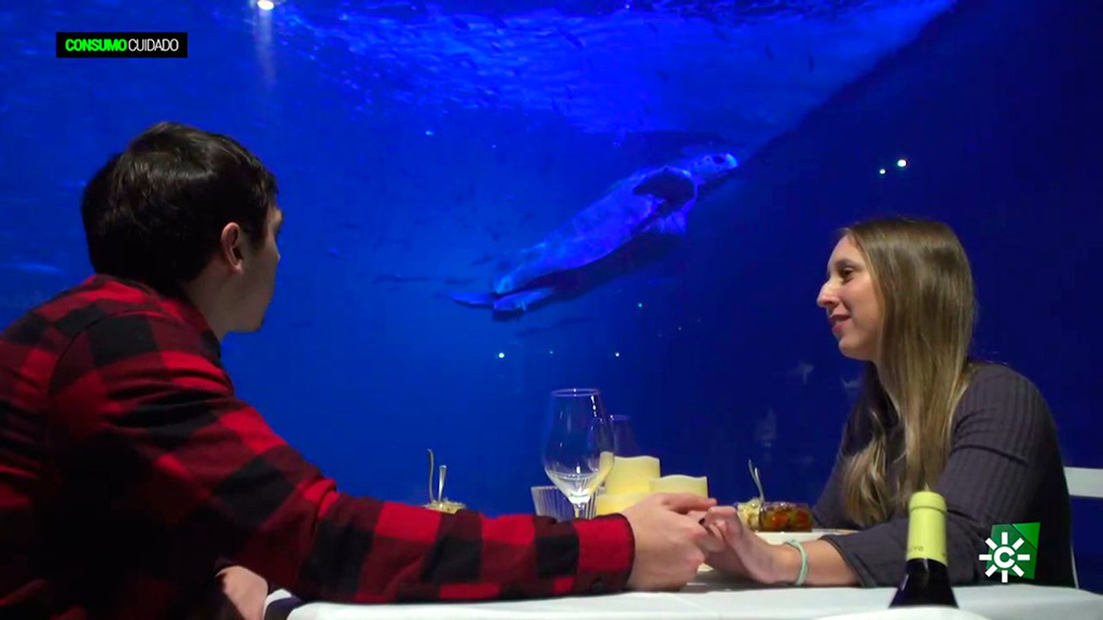 El acuario de Sevilla, una ventana para dar la vuelta al mundo bajo el mar