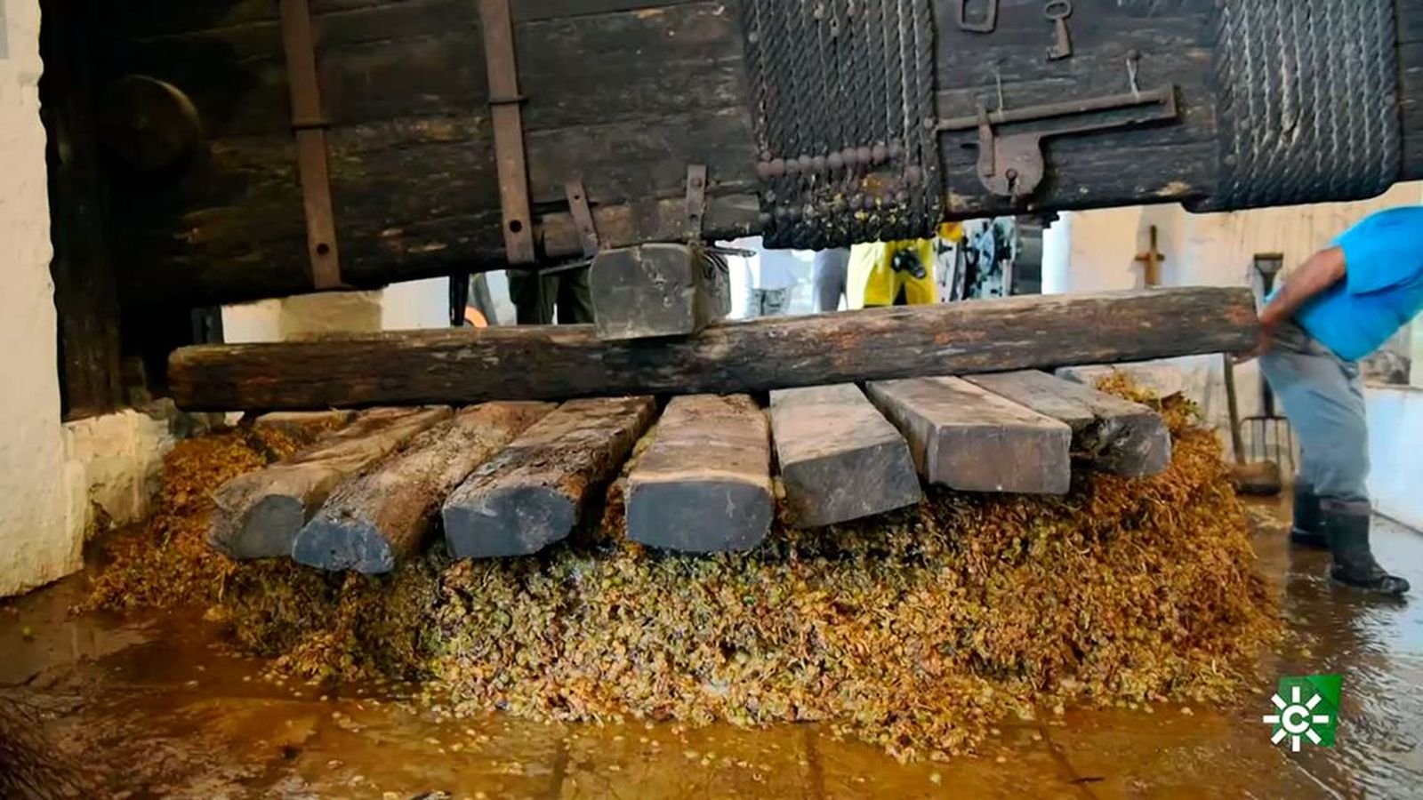 Góngora, la bodega más antigua de Andalucía, se renueva con el enoturismo
