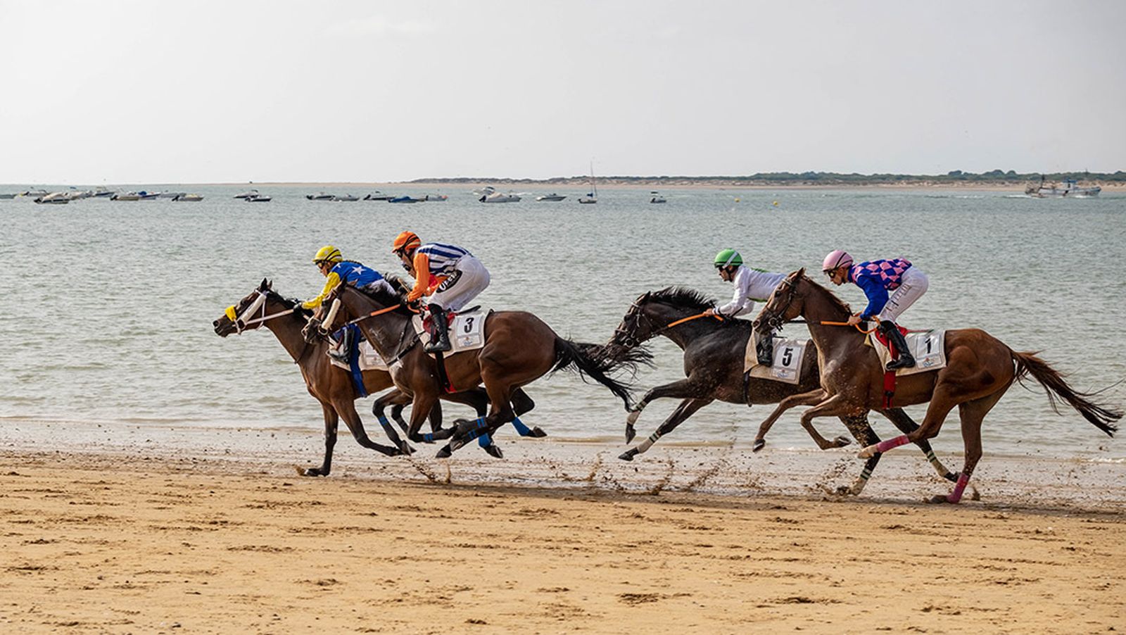 Carreras de caballos de Sanlucar Promo