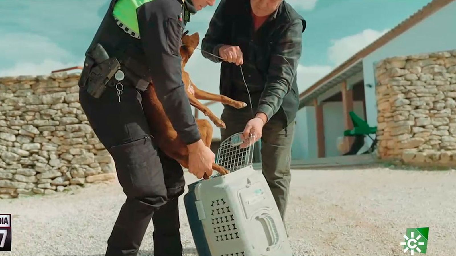 La Patrulla Verde de Ronda vigila por el bienestar animal