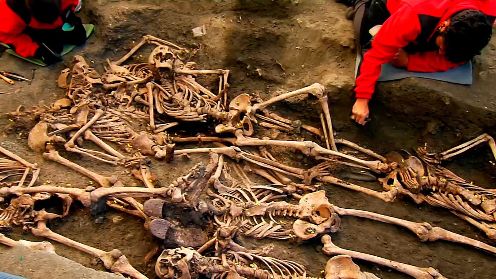 Ciencia al servicio de la Memoria