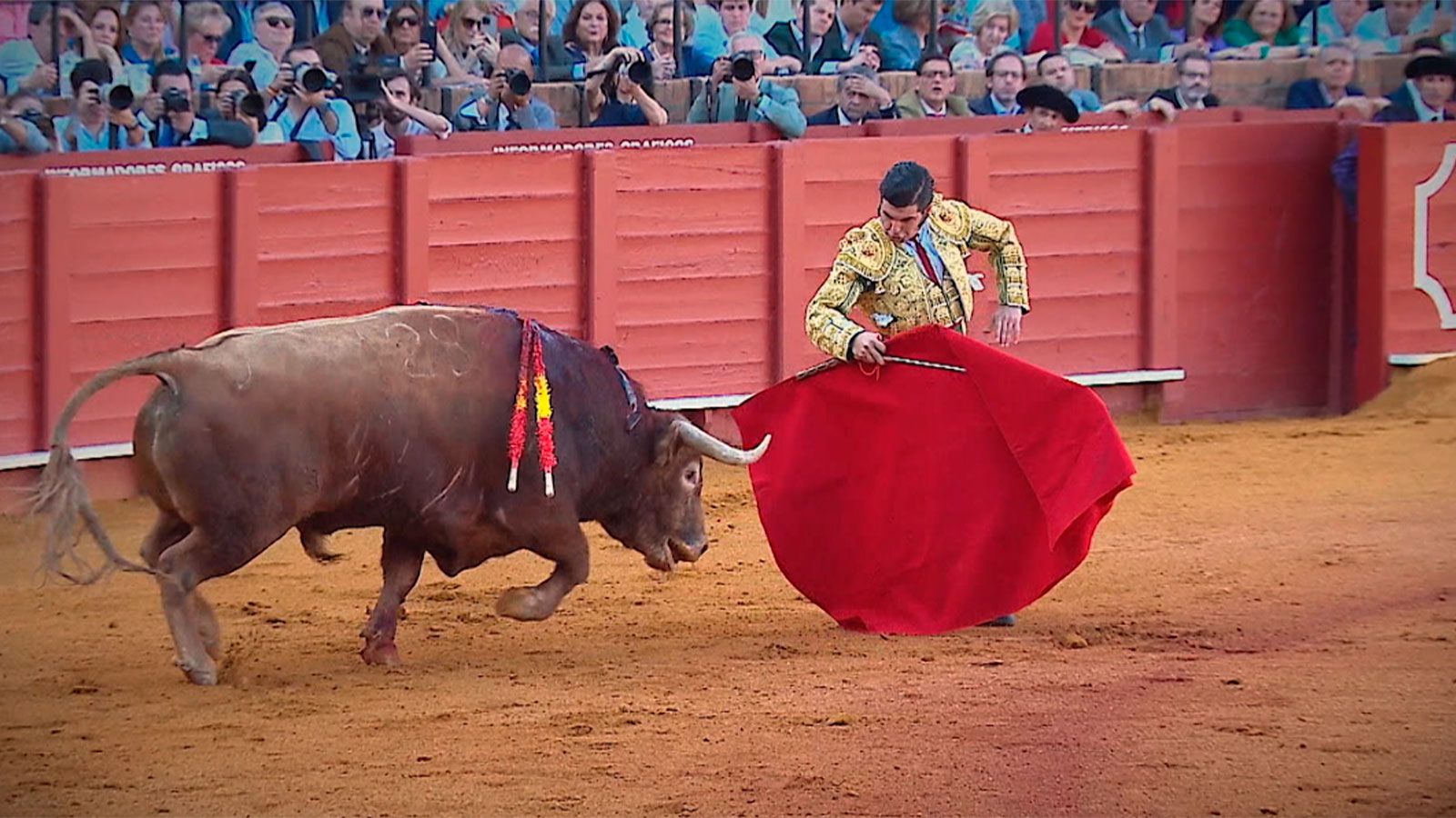 Toros en el marco de la Feria de San Bernabé de Marbella.