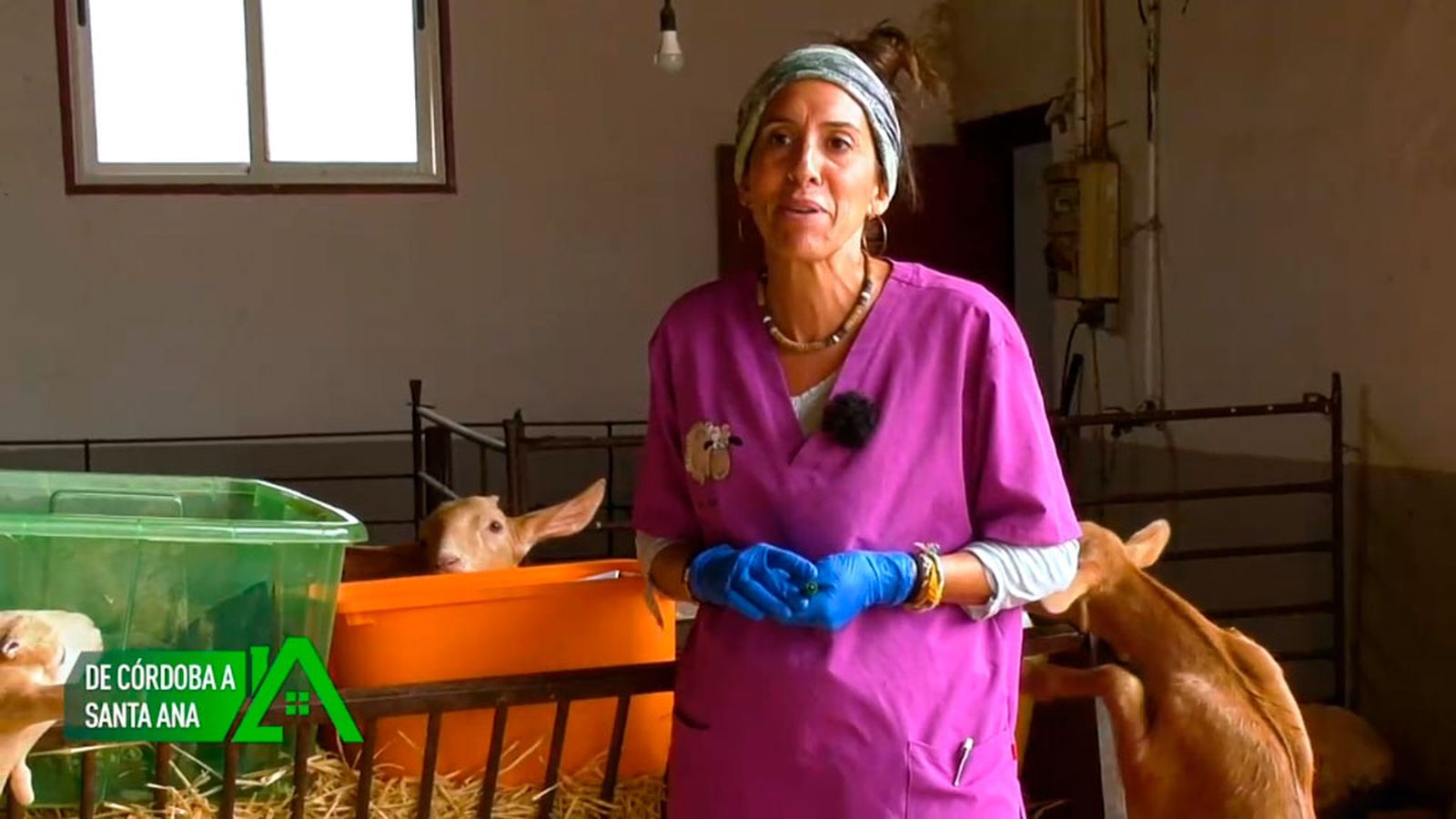 Es veterinaria rural y presta servicios en los pueblos de alrededor de la aldea donde vive, Santa Ana