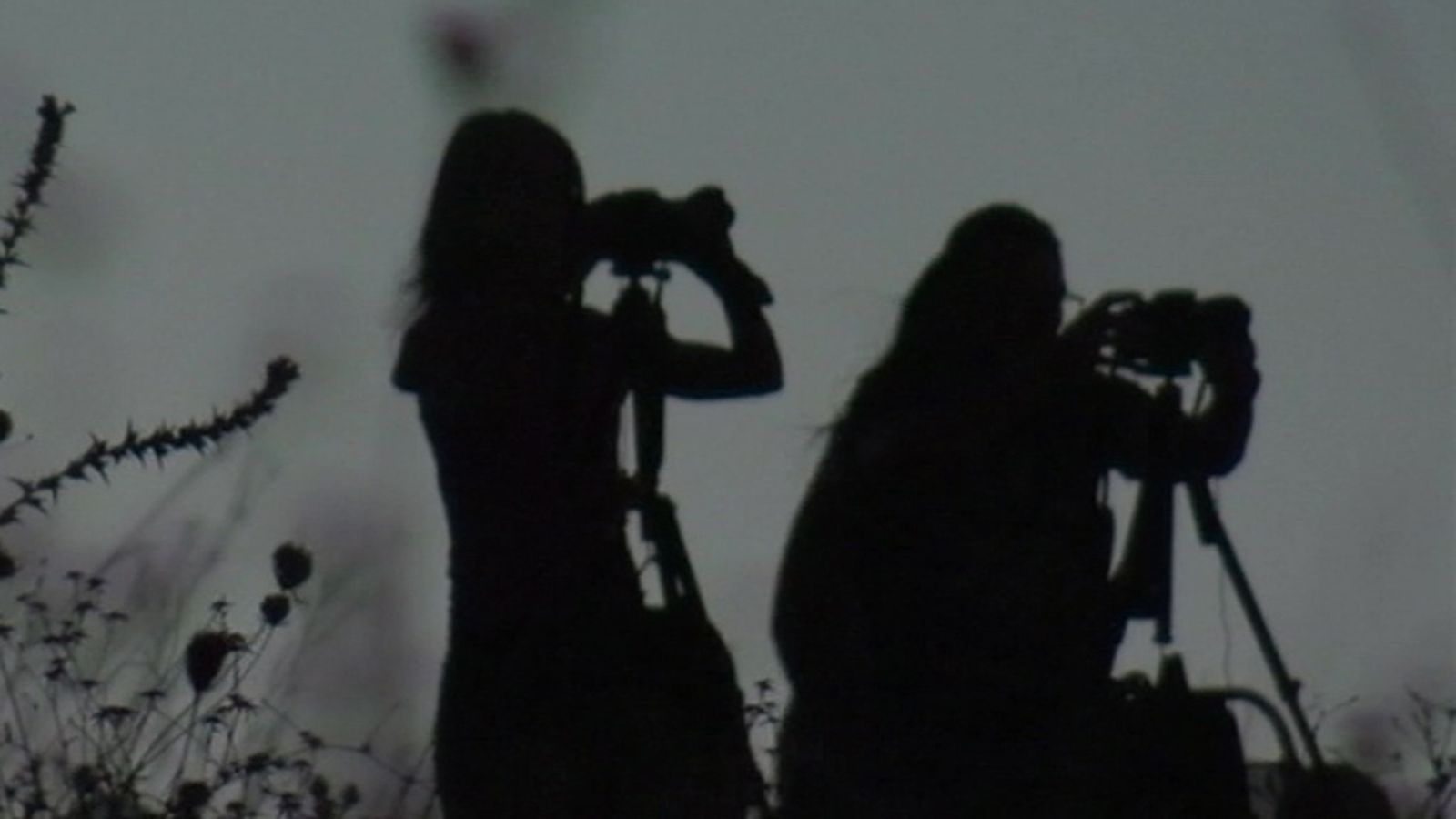 fotografos
