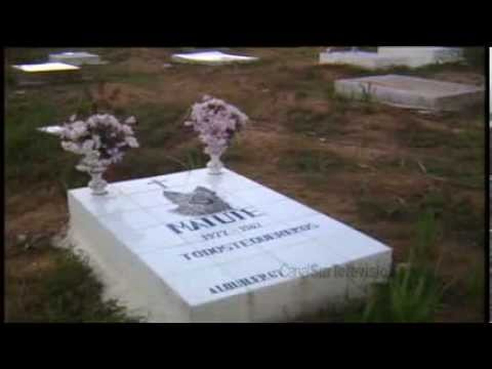 Cementerio de mascotas de Mairena y de "disidentes" en Sevilla