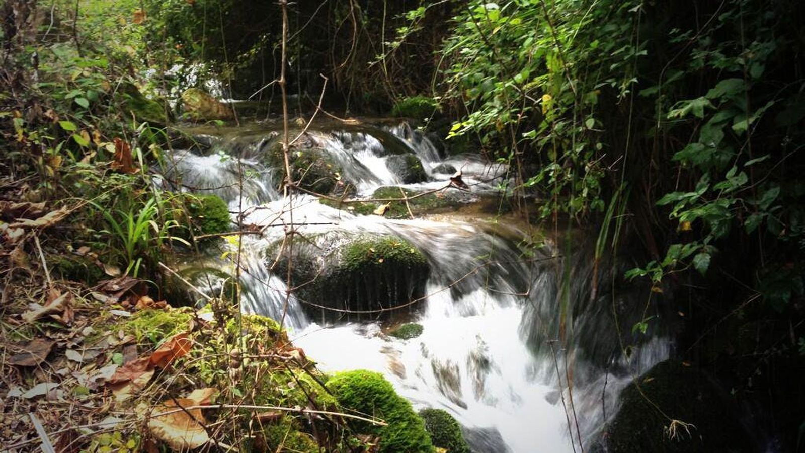 rio frio