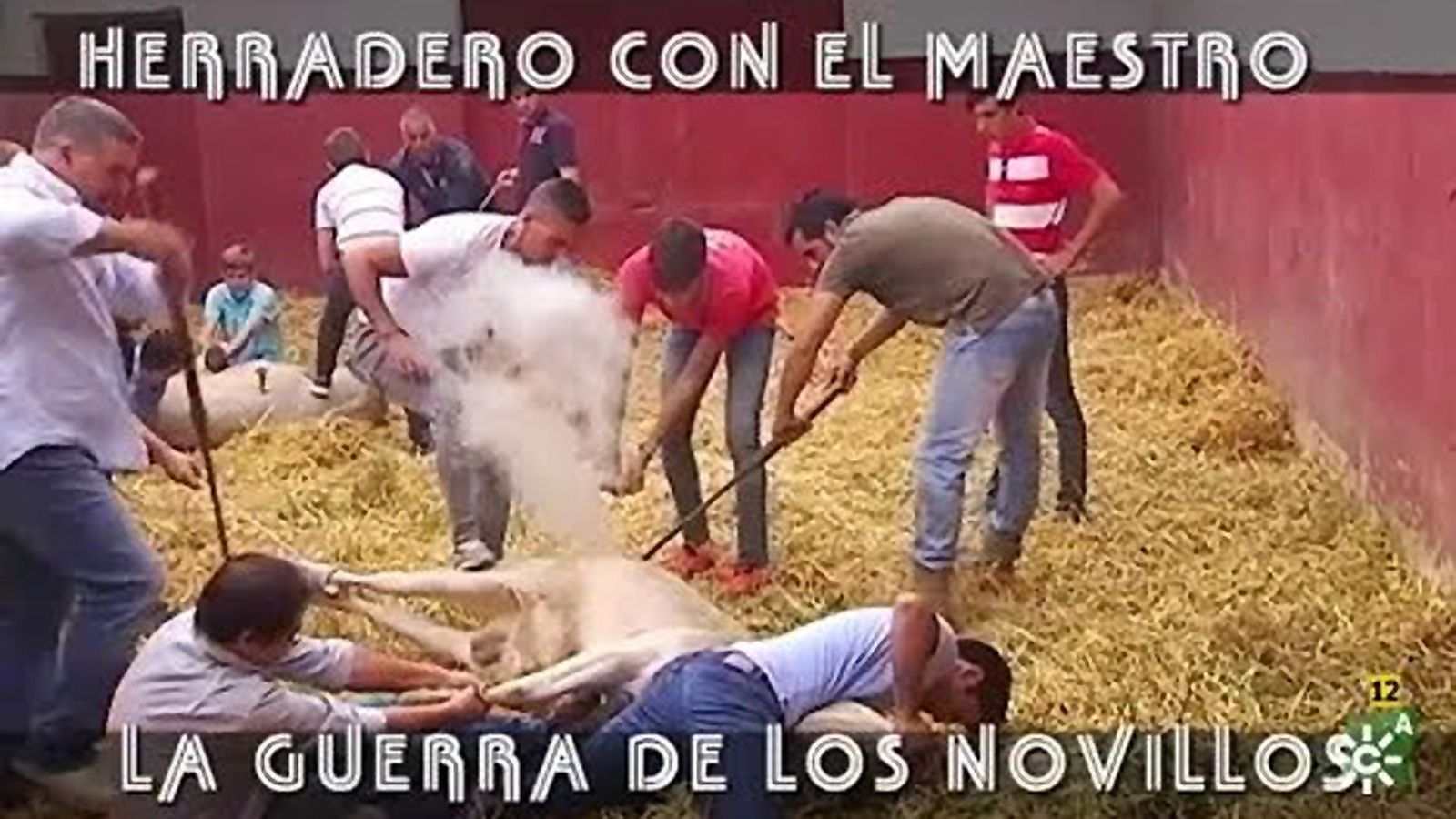 Comunicación Toros Para Todos Foto