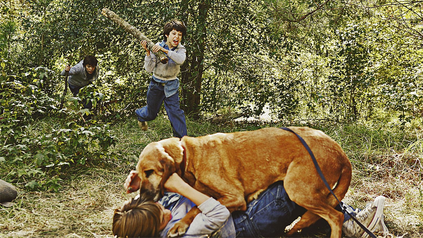 Comunicación Cine Película Alabama Moon