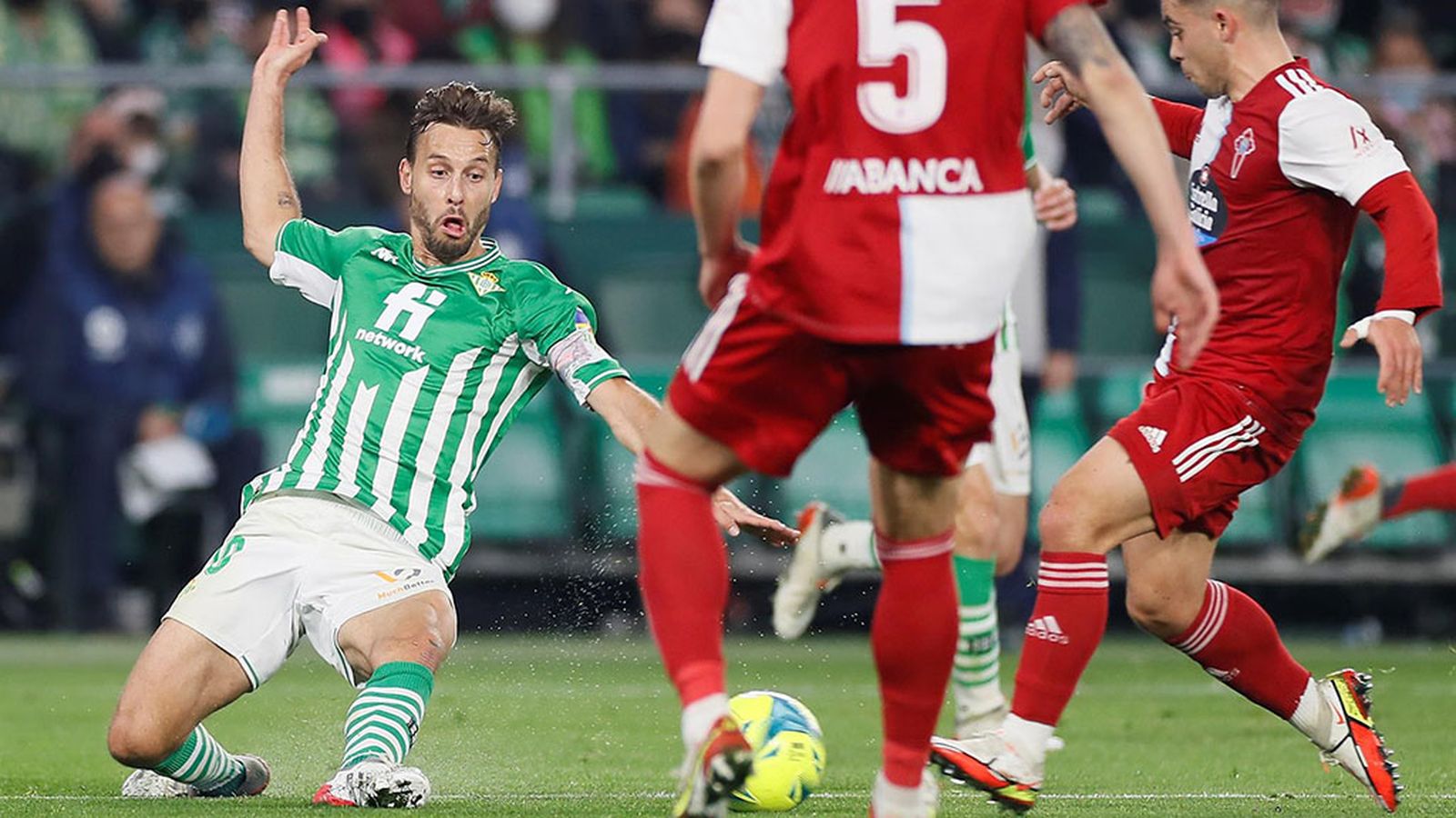tapa betis