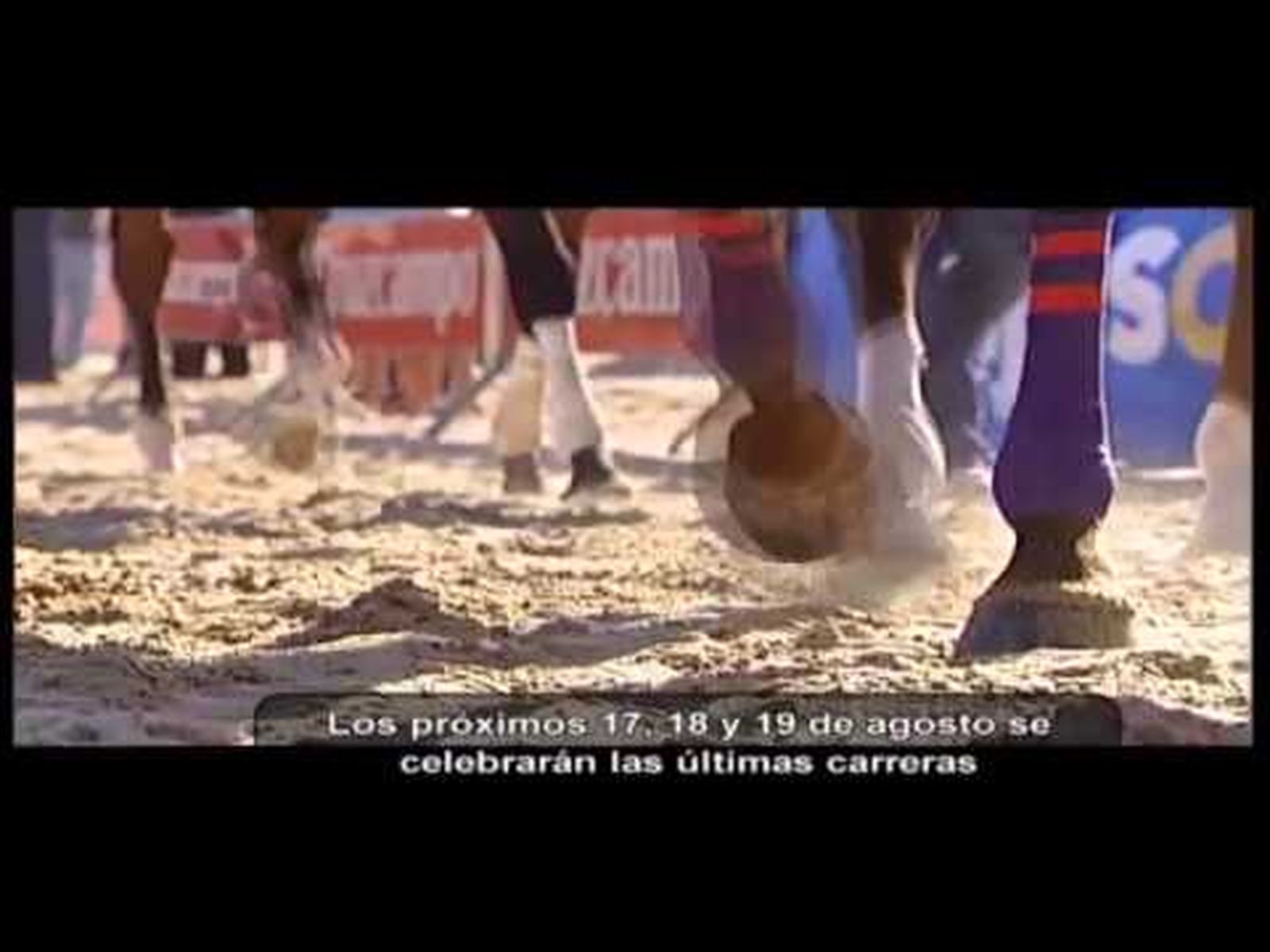 Las carreras de caballos de Sanlúcar de Barrameda | Destino Andalucía