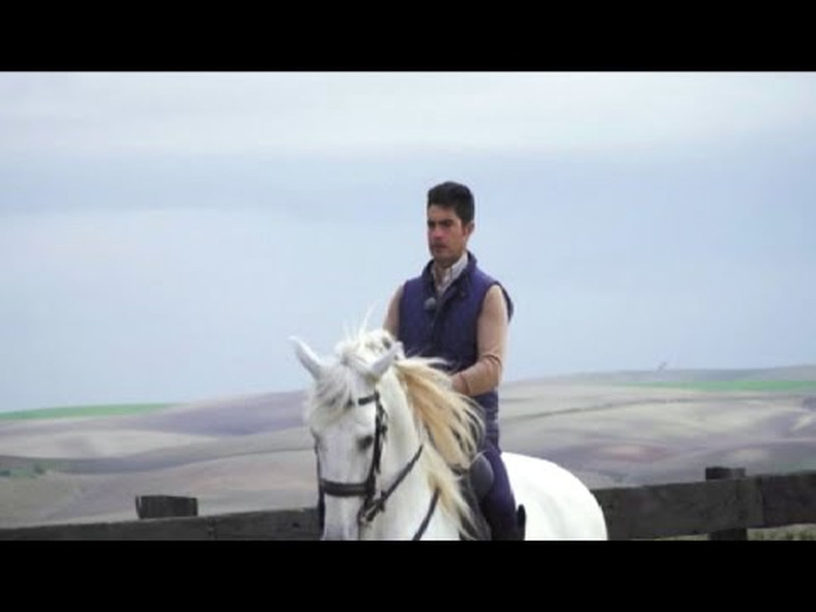 Doma clásica con Carlos Martín y cuarentena de caballos para la exportación | Todo Caballo