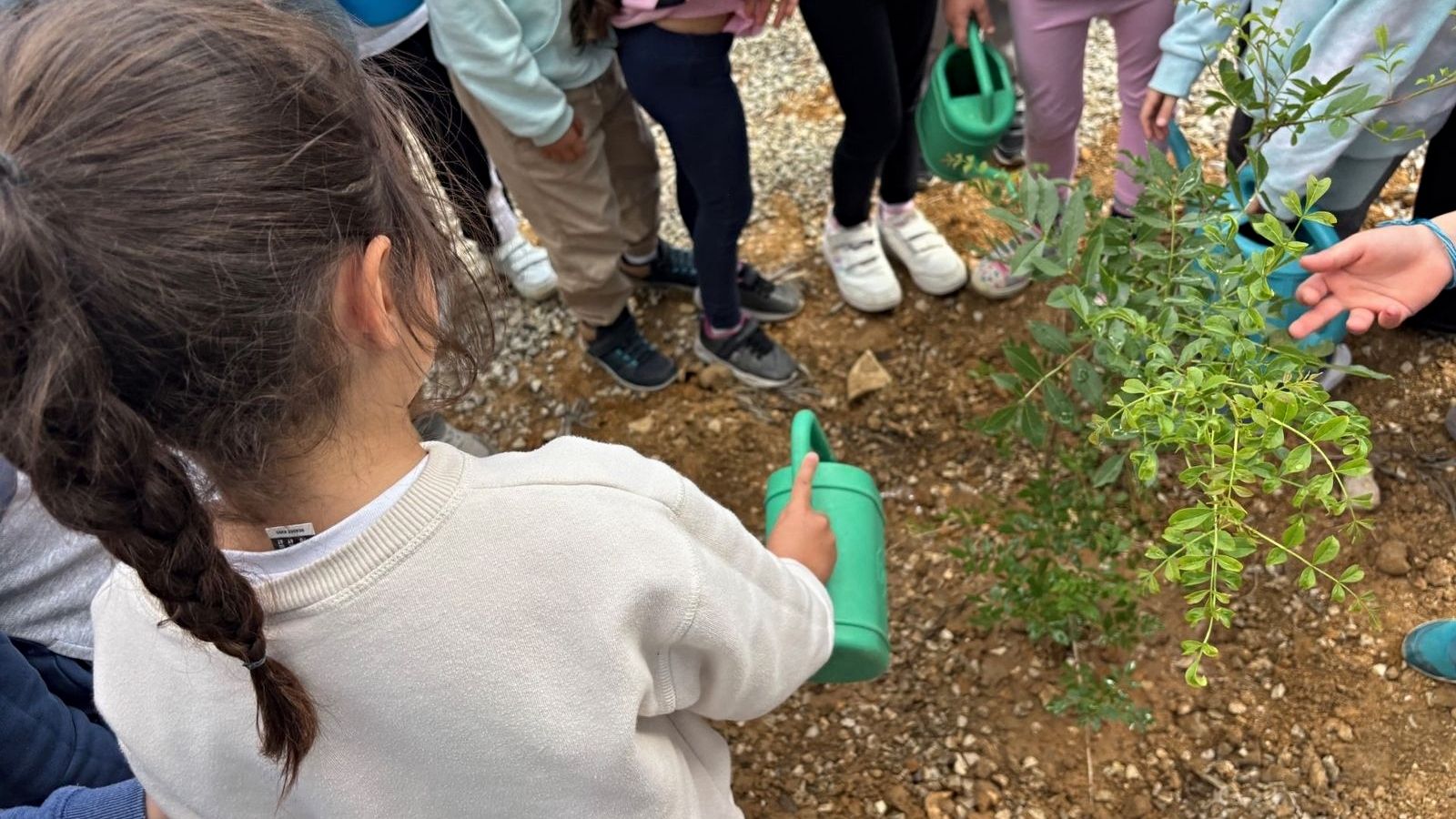 Niños plantando árboles.