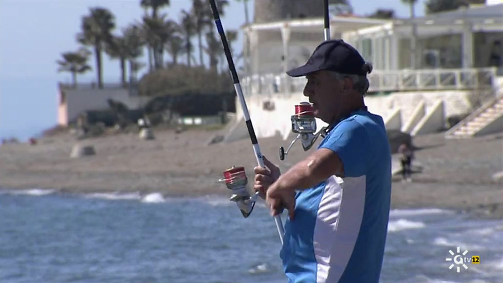 Caballas, lisas o jureles especies autóctonas del Algarve, sede del mundial de pesca