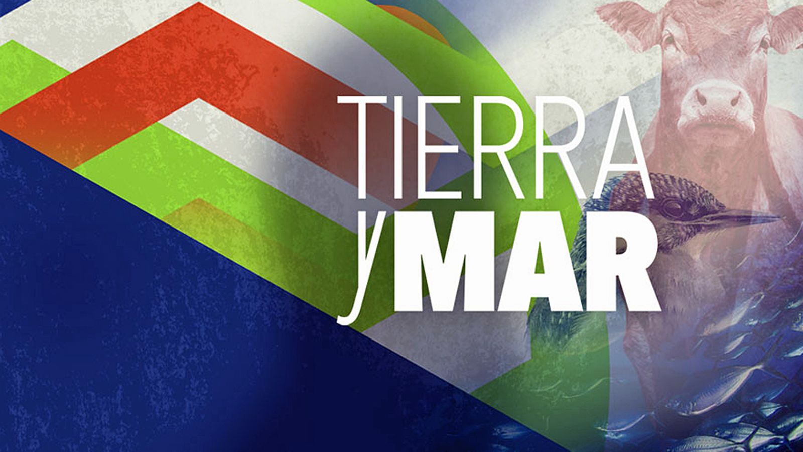 COMUNICACIÓN TIERRA Y MAR CABECERA 1024 X 576