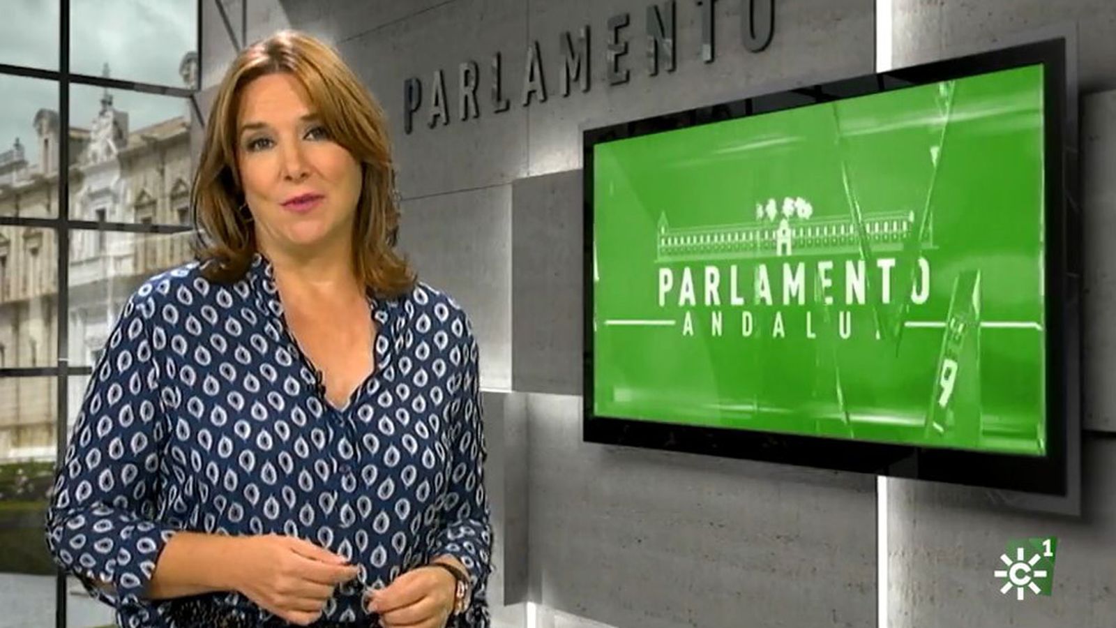 Parlamento andaluz tapa tv a la carta