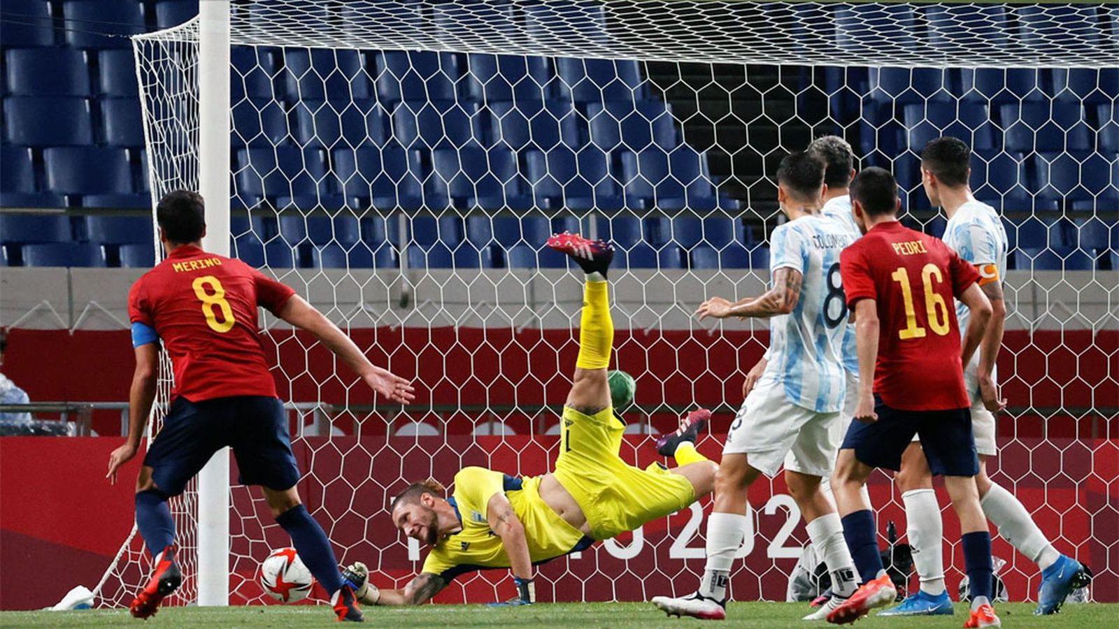 gol merino