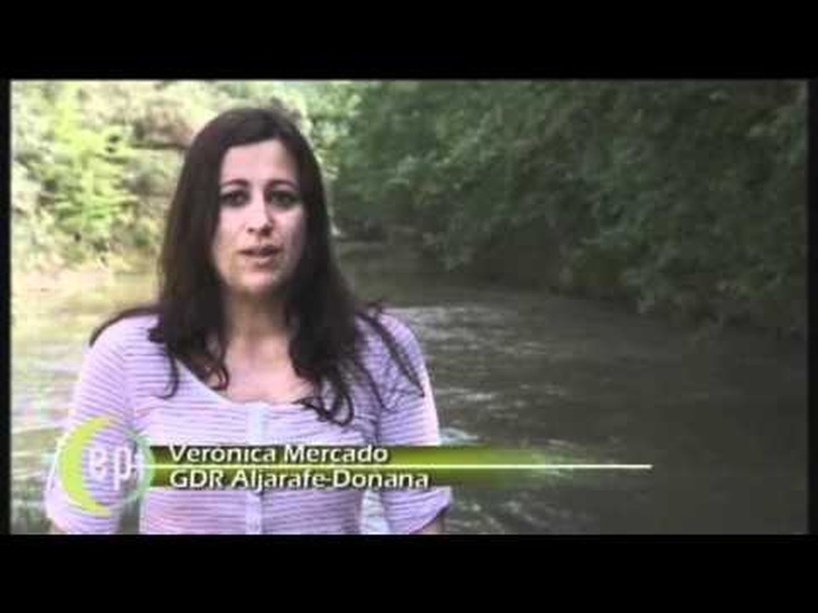 MOLINOS GUADIAMAR-CANAL SUR