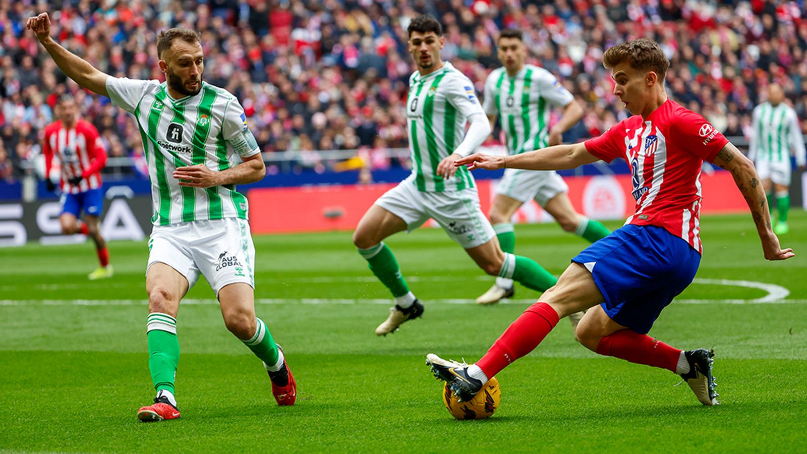 tapa betis