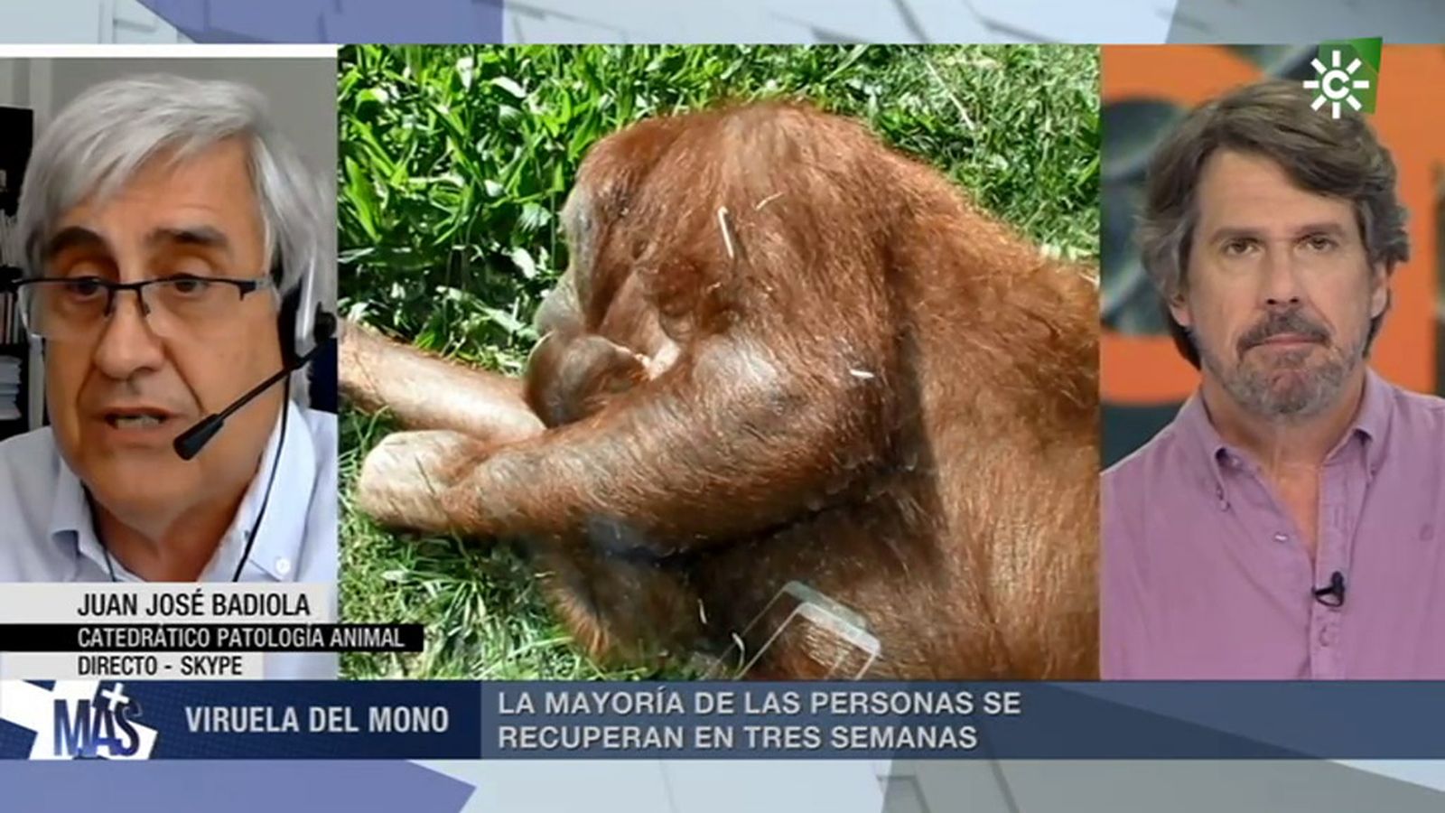 Entrevista a Juan José Badiola, catedrático de Patología Animal